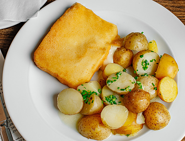 Výroky 2025: Bez smaženého sýru restaurace být nemůže. Ten Češi naprosto milují