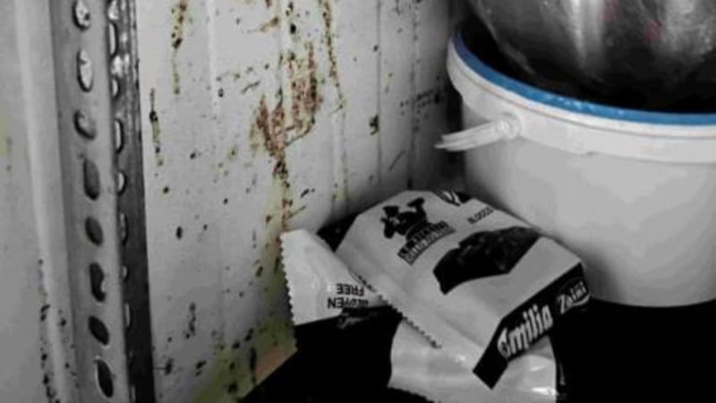 Plíseň v lednici i kouření v kuchyni. Podívejte se, proč česká inspekce zavírala restaurace