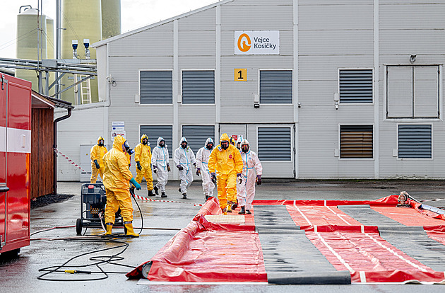 Škodu za stovky milionů ustojí. Kuřice se do drůbežárny v Kosičkách vrátí v srpnu