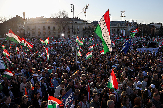 Síť falešných účtů na X ovlivňuje volby v Maďarsku. Dříve cílila i na Nizozemce