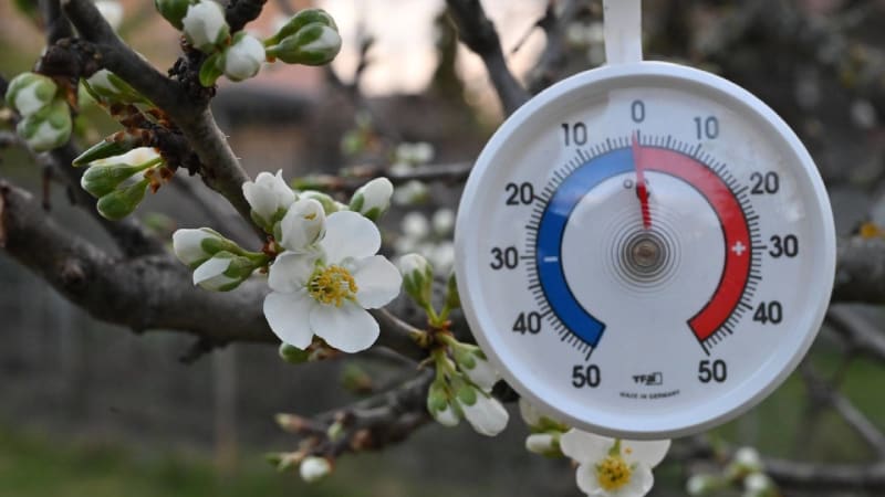 Česko sevřou ranní mrazy: Odborníci varují ovocnáře. MAPA ukazuje, kde hrozí nebezpečí