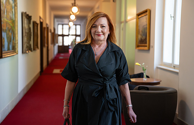 Schillerová prozradila priority rozpočtu, trvá na přehlasování Pavlova veta