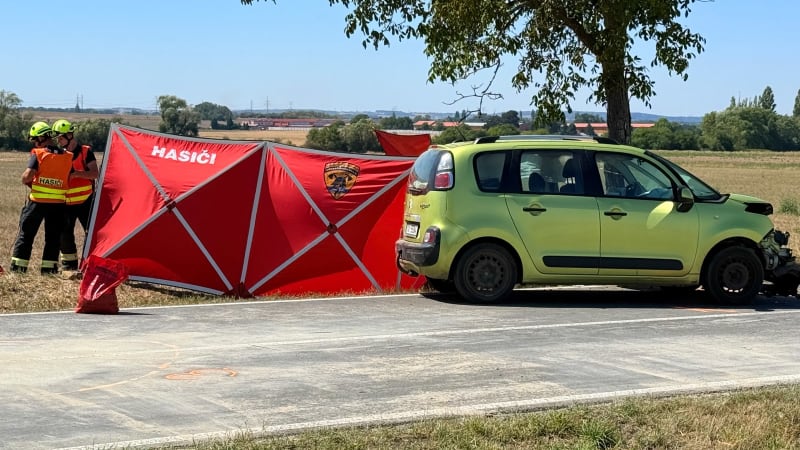 Smrtelná nehoda poblíž obce Záryby: Řidič zemřel po nárazu do stromu, auto vezlo vozík
