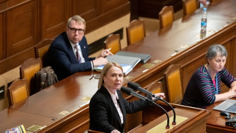 Vyvedením hrozili i Černochové, Kolovratník ochranku pochválil. Chucpe, podotkla exministryně